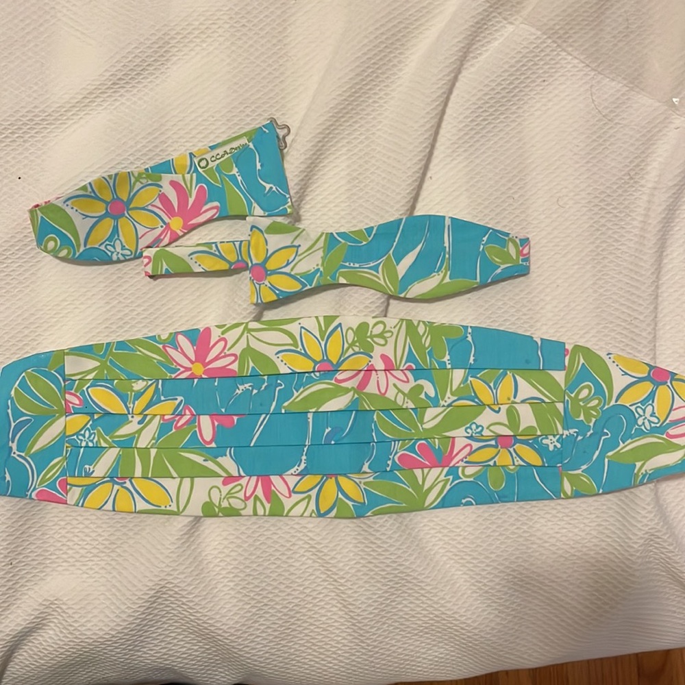 CCA Design Cumberland Bund and Tie